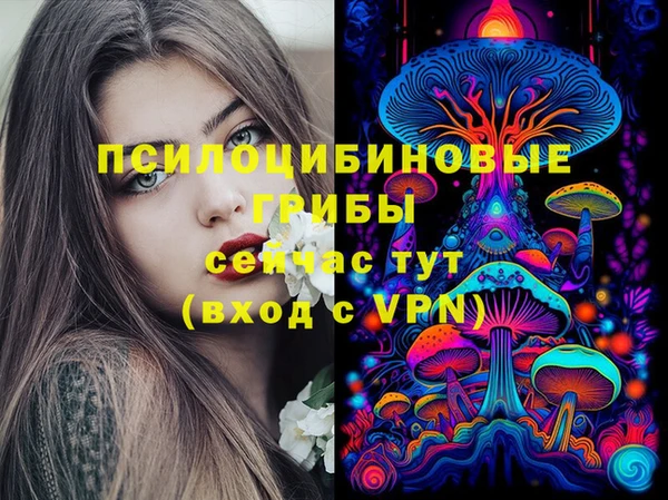 тгк Балахна